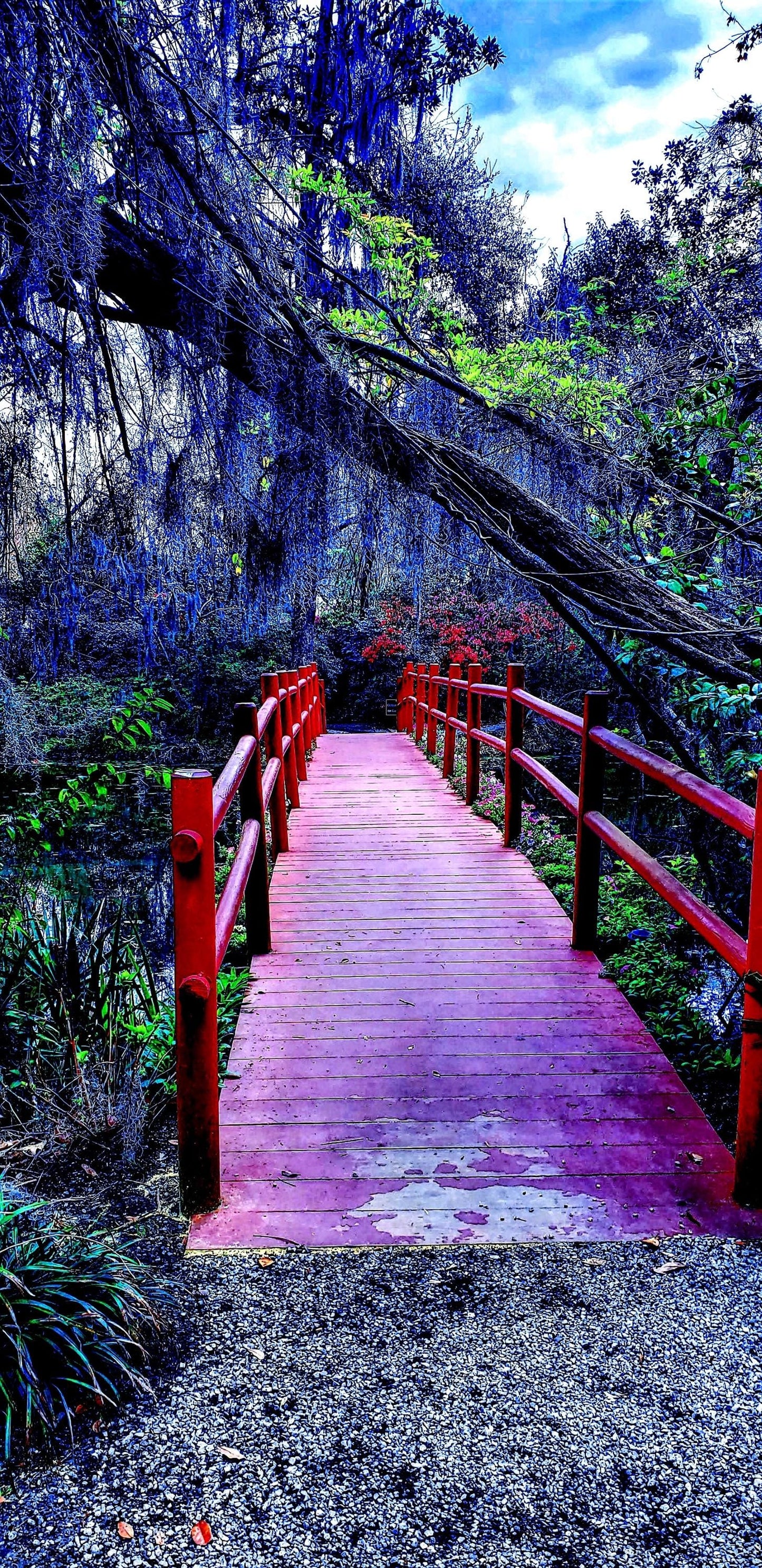 Follow for the way " To Bright Futures" in Savannah, GA.