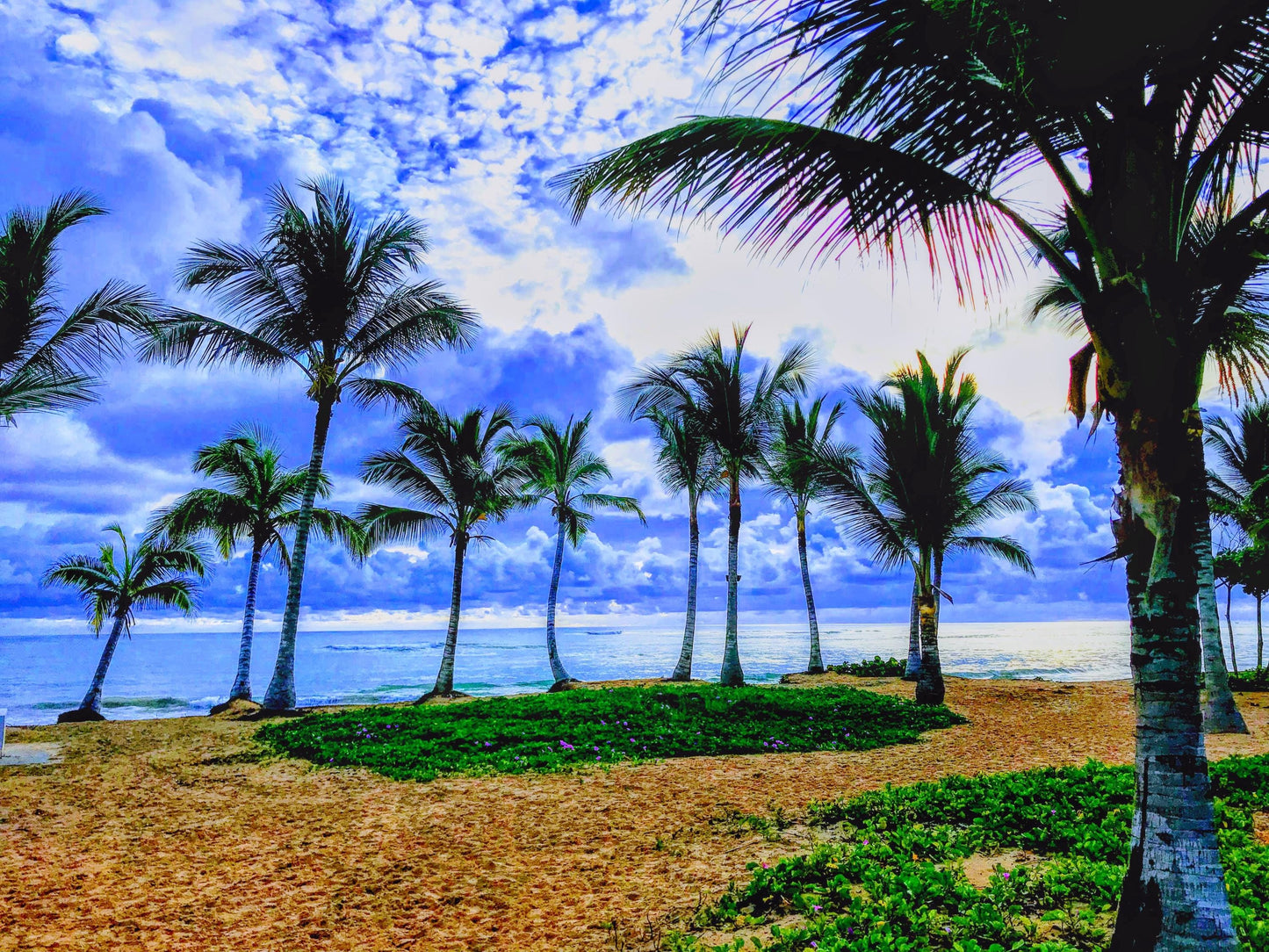 Beauty in all forms on the stunning island of Punta Cana.