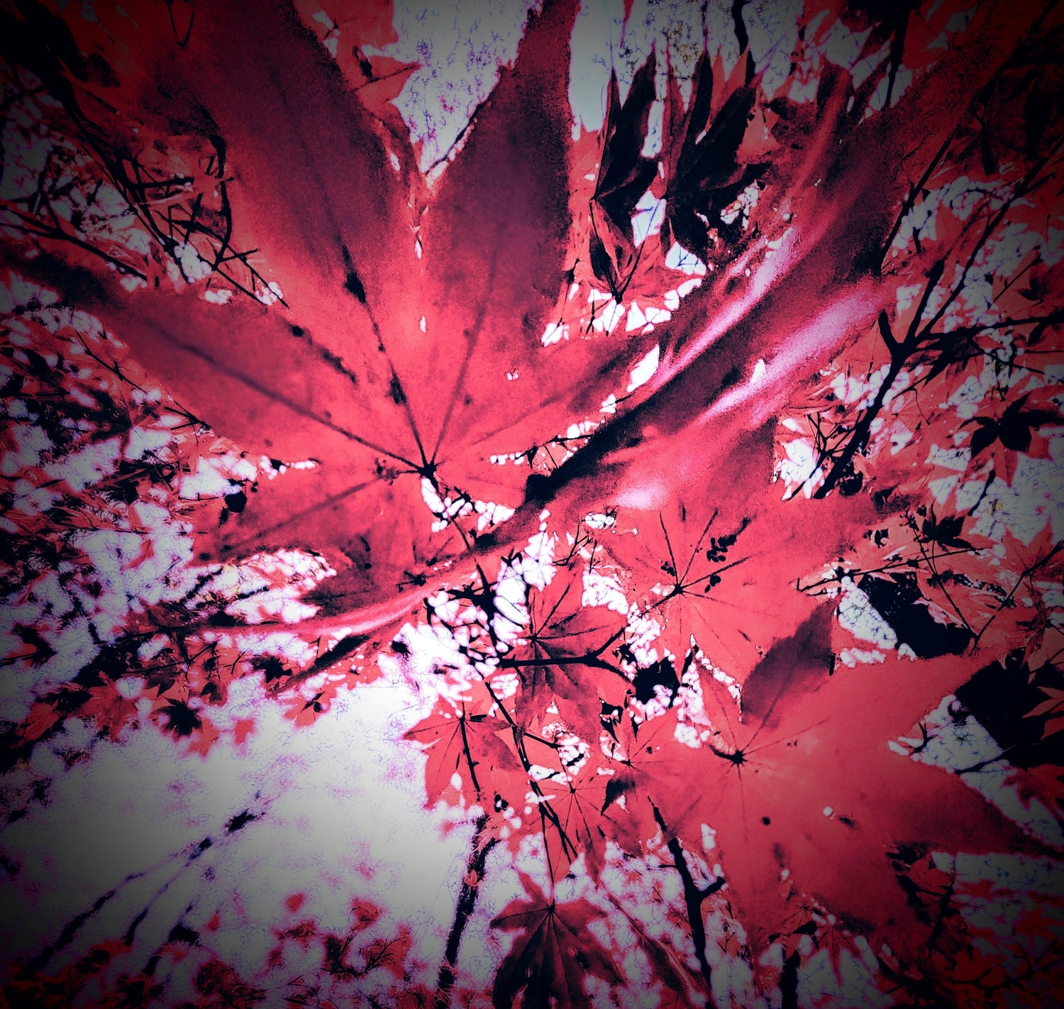"RED"