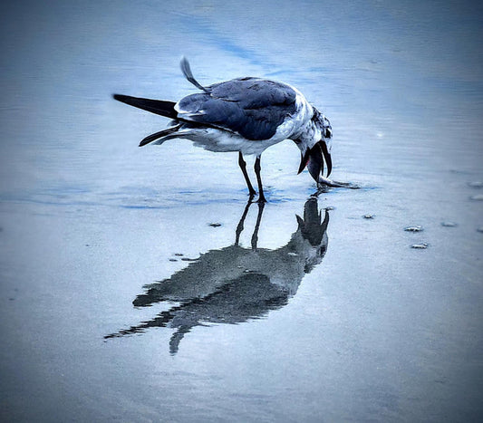 Sometimes "Life's Reflections" are the only way to learn.