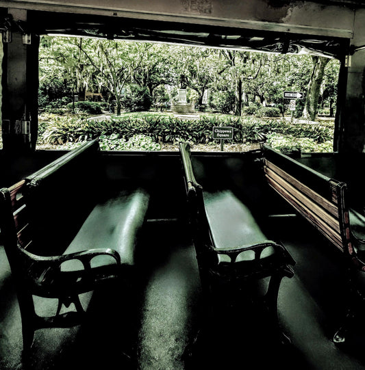 From a trolley in Savannah, GA here's "A Different View" of a wonderful city.