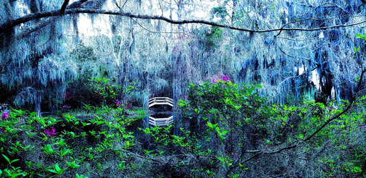 In Savannah "Bridging the Gap" means many things.