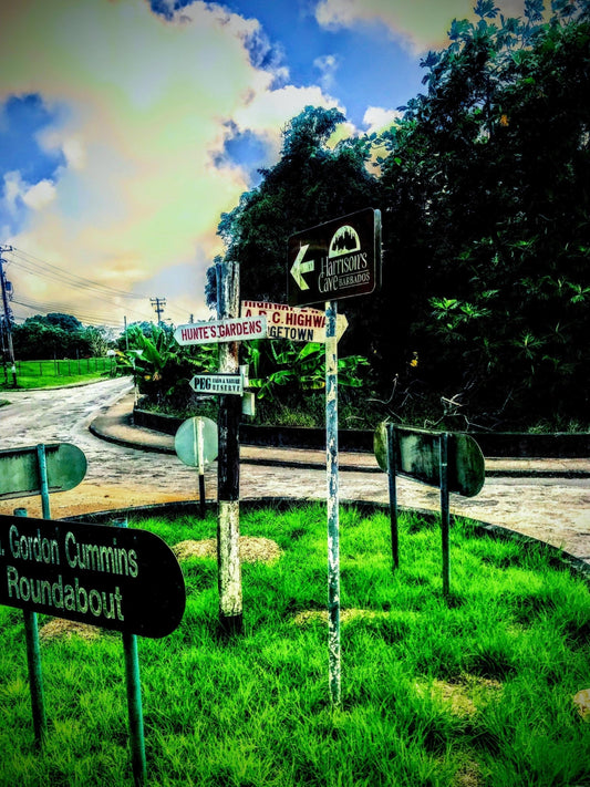 Within the city limits "Directionally Challenged" in Los Cabos, Mexico.