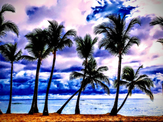 Beauty has many angles on a fall day in Dominican Republic.