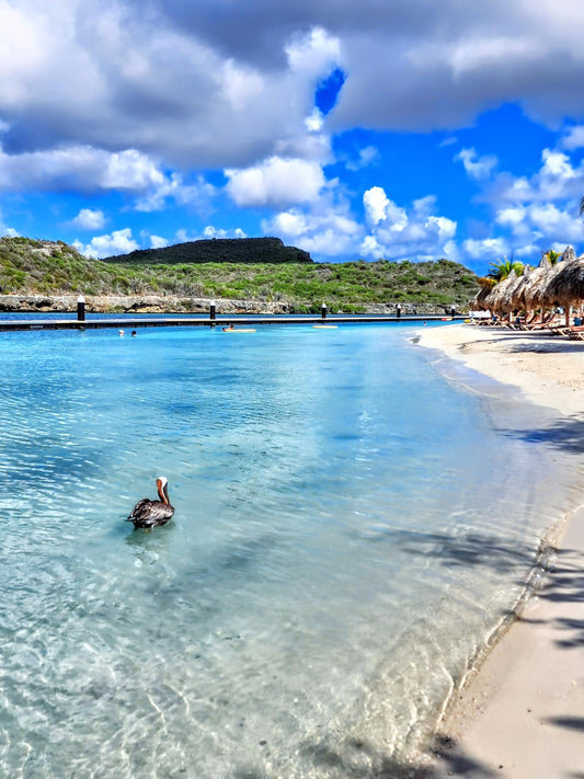 It's time "To Go or Not to Go" that is the question in beautiful Curacao.