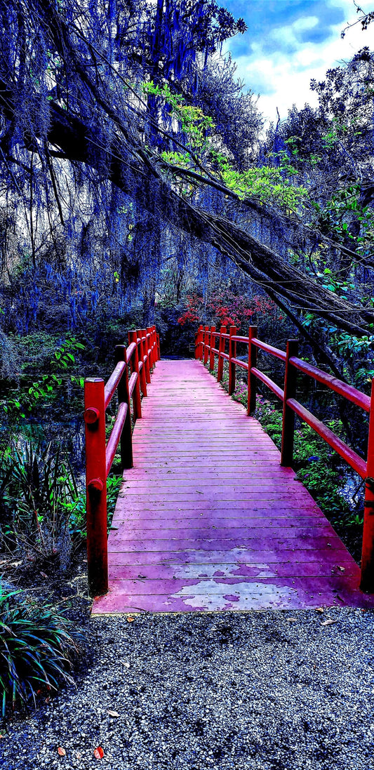 Follow for the way " To Bright Futures" in Savannah, GA.